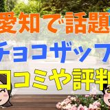 愛知県で話題のチョコザップ