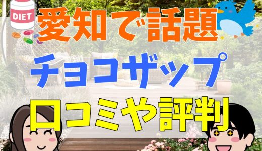 愛知県で話題のチョコザップ