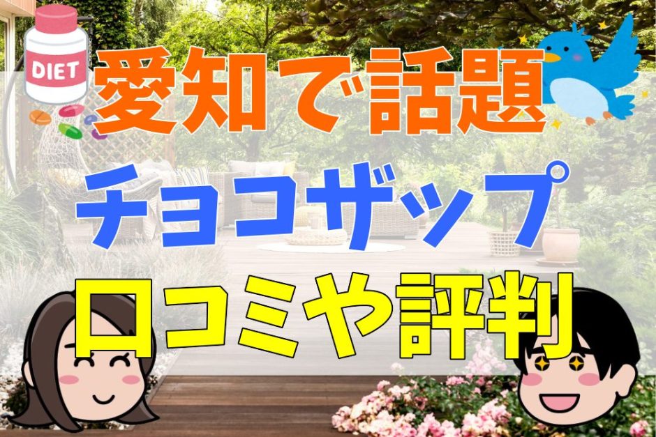 愛知県で話題のチョコザップ